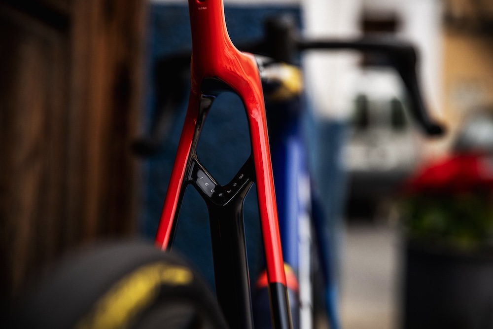 23-Madone-RD-Ross-Bell-Photo-Web-155 copy.jpg